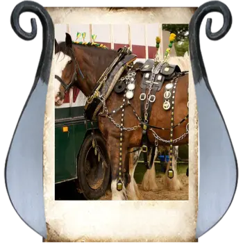 horse-accessories-454792-1745909440
